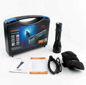 Dive Torch