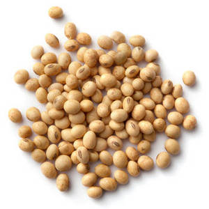Soya Beans