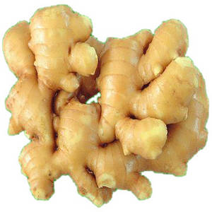 Dry Ginger