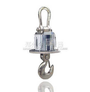 Electronic Crane Scale