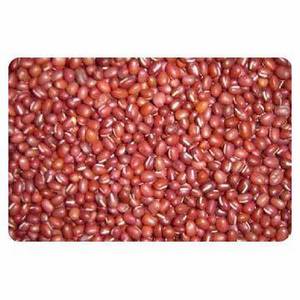 Small Red Beans