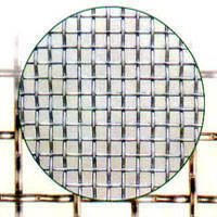 Galvanized Wire Mesh