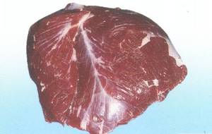 Frozen Beef