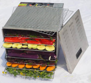 Fruit Drying Machine