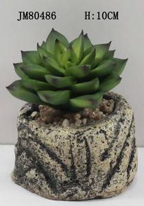 Artificial Bonsai