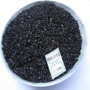 Coconut Shell Activated Carbon