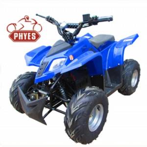 Electric ATV