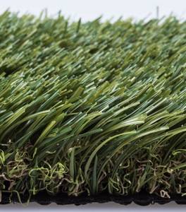 Artificial Lawn