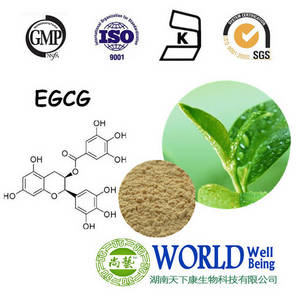 Tea Polyphenols