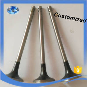 Exhaust Valve