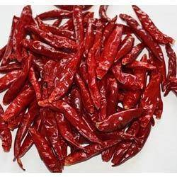 Dry Red Chilli