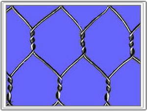 Hexagonal Netting