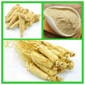 Ginseng Root