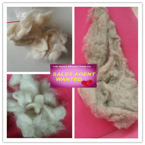 Sheep Wool