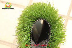 Soccer Grass