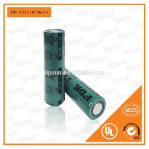 AA Battery