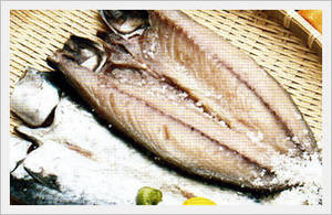 Frozen Mackerel