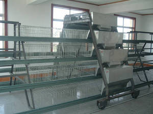 Chicken Coop