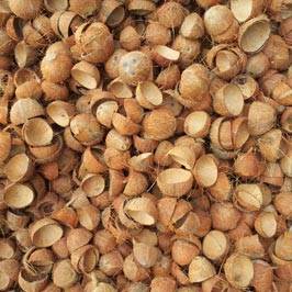 Cocoanutshell