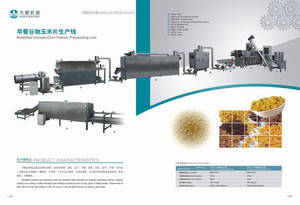 Corn Flakes Processing Line