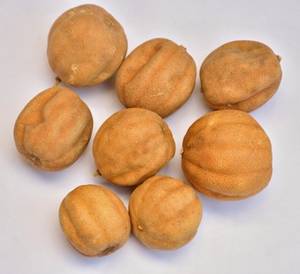 Dried Lemon