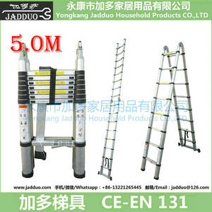 Multi-function Ladder