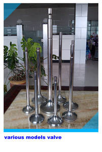 Intake Valve