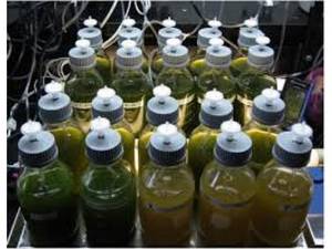 Automatic Notes Cleaning Machine