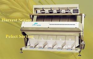 Wheat Cleaning Machine