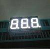 Seven Segment LED Display