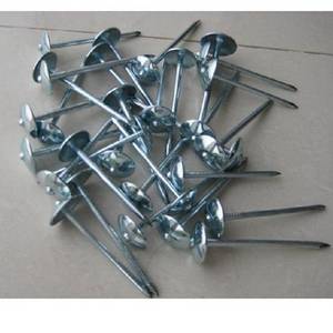Galvanized Nail
