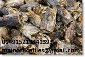 Dry Fish
