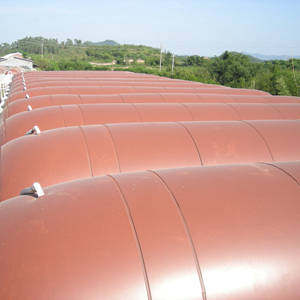 Biogas Digester