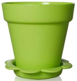 Plastic Pot