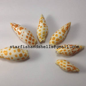 Shell Crafts