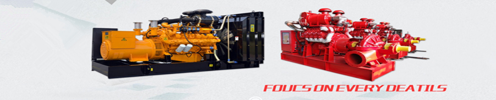 Weifang Best Power Equipment Co Ltd Diesel Generator Diesel