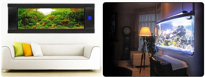 Wall-Mounted Aquarium