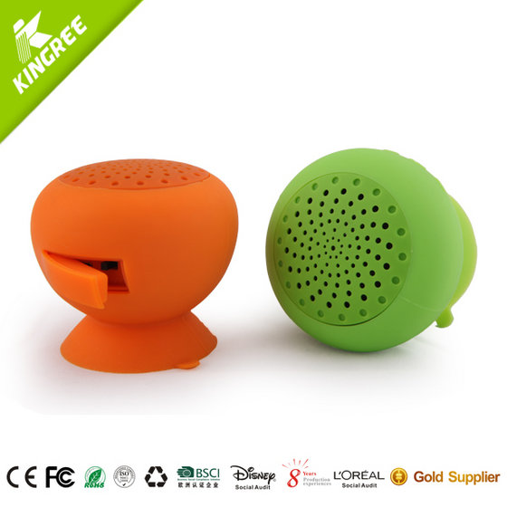 Bluetooth Shower Speaker